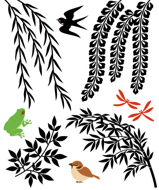 Set of leaves. Set of leaves. willow, bamboo leaf and wisteria. chinese frog stock illustrations