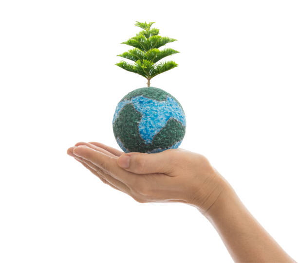 istock Earth in hand isolated on white 1051042282
