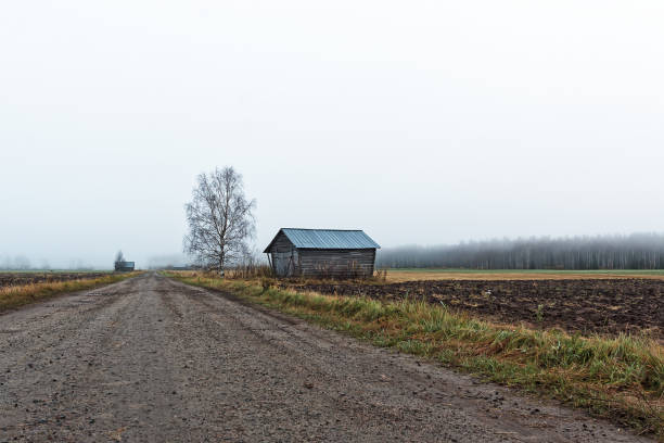 голое дерево у сарая дом - winter finland agriculture barn стоковые фото и изображения