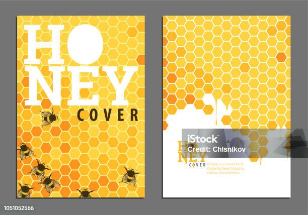 Bright Golden Honey Cover - Arte vetorial de stock e mais imagens de Favo de mel - Favo de mel, Abelha, Mel