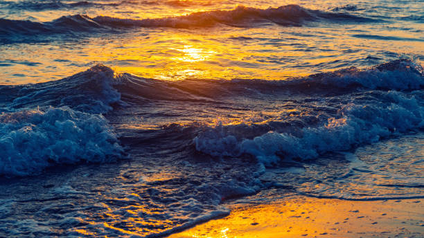 istock Sea surf on the beach, early morning 1051053006