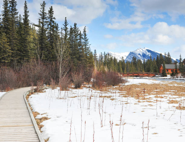 istock Winter Walk to the Mountain Cabin 1051053136