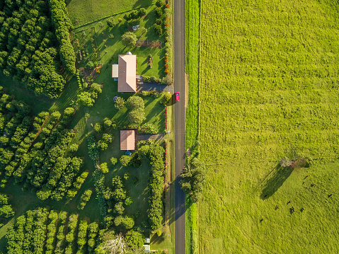 Aerial view - looking down at red car driving on rural highway among green grass and countryside houses at sunset