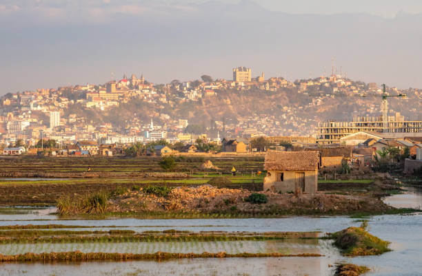 istock Farm near Antananarivo, Madagascar 1051065294