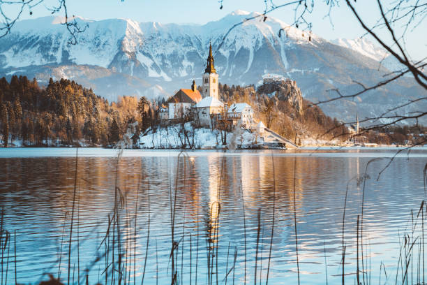 lago di bled con isola di bled e castello all'alba in inverno, slovenia - castle slovenia winter snow foto e immagini stock