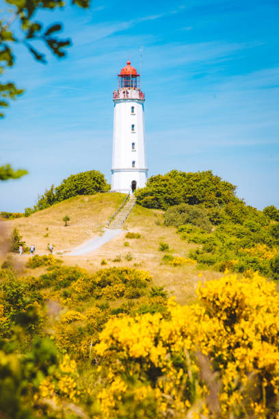 Classic view of famous Lighthouse Dornbusch on the beautiful island Hiddensee with blooming flowers in summer, Baltic Sea, Mecklenburg-Vorpommern, Germany