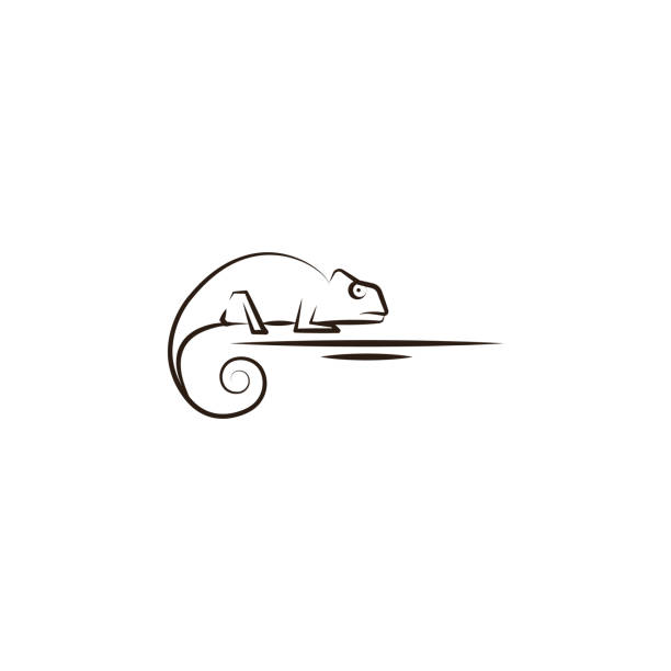 desert, chameleon, animal icon. Element of desert icon for mobile concept and web apps. Hand draw desert, chameleon, animal icon can be used for web and mobile desert, chameleon, animal icon. Element of desert icon for mobile concept and web apps. Hand draw desert, chameleon, animal icon can be used for web and mobile on white background african ground squirrel stock illustrations