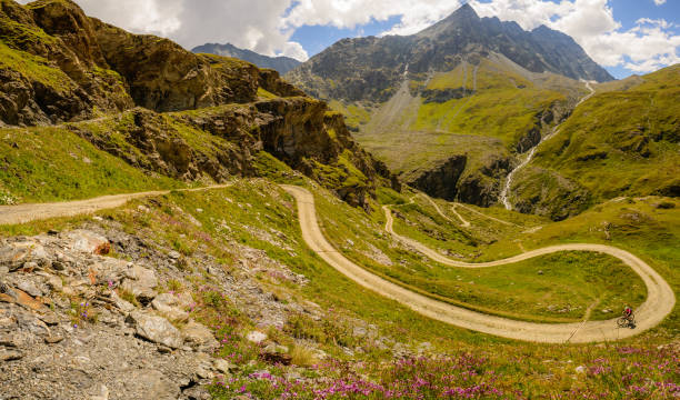 Mountain biking along a road in the alps