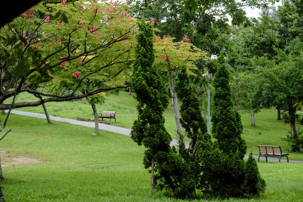 istock The view of park in rainy day. 1051085990