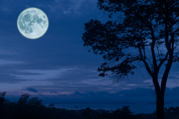 istock Full moon, clouds and skies with forest in the dark night 1051086442