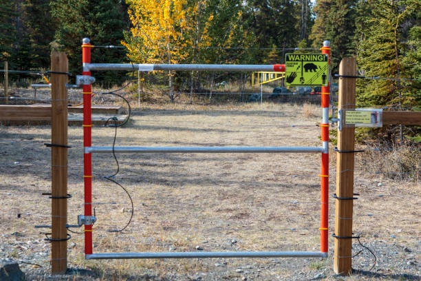 электрический забор в кемпинге в yukon канада. - lake alaska mountain mountain range стоковые фото и изображения