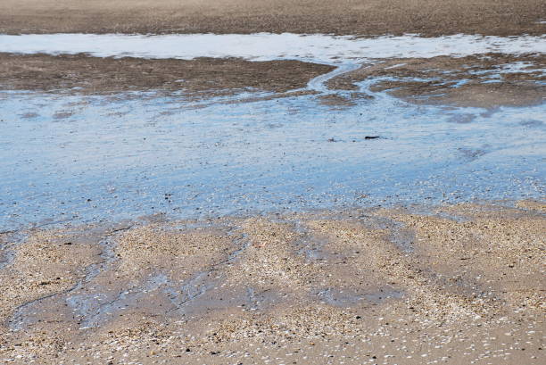 istock Abstract Nature Background - Sand & Sea Estuary 1051095340