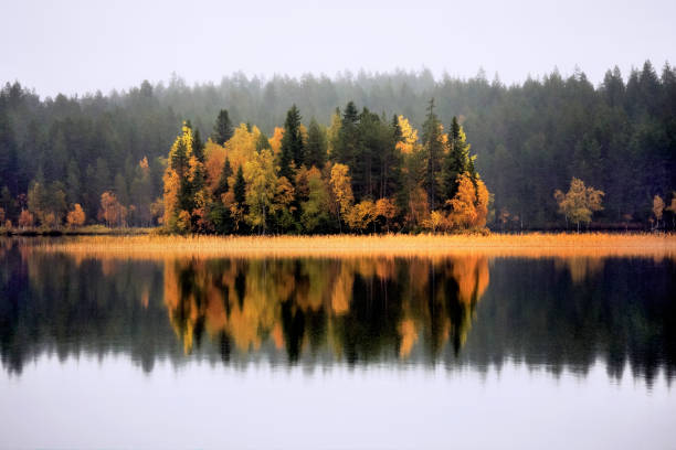 istock Misty autumn evening at Kuusamo Lake. 1051095576