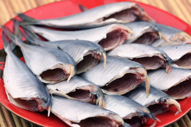 istock Fresh fishes  on red plate 1051103678