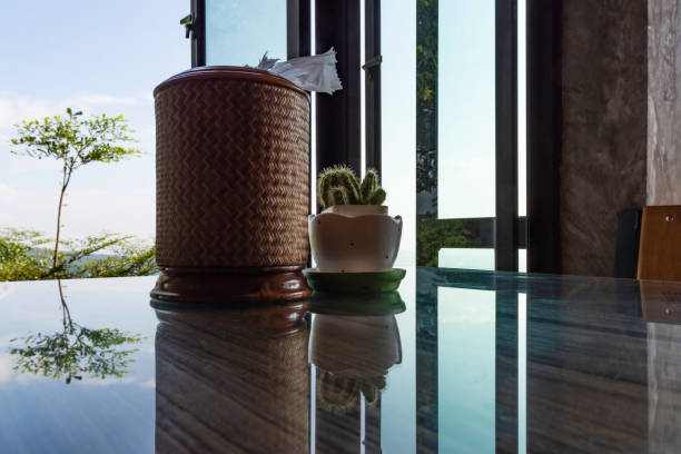 istock Reflection of Cactus in white cup and Tissue Box 1051114034