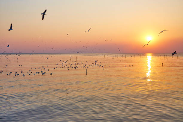 istock Dramatic sunset with seagull and sea 1051123032