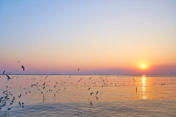istock Dramatic sunset with seagull and sea 1051123034