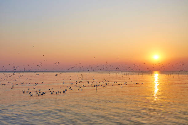 istock Dramatic sunset with seagull and sea 1051123056