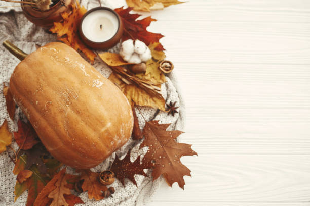 istock Autumn Flat Lay. Pumpkin,candle,fall leaves,berries,nuts,acorns on sweater and rustic  white background top view. Seasons greetings. Space for text. Happy Thanksgiving. 1051123354