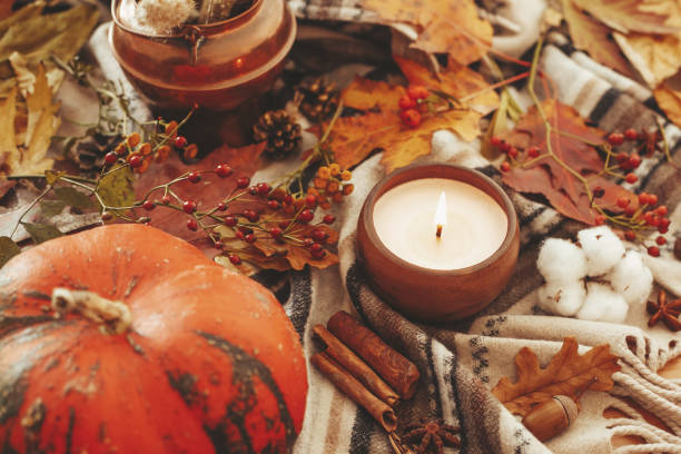 istock Beautiful pumpkin, candle light, fall leaves, berries, nuts, acorns, cotton, cinnamon on  soft blanket background. Seasons greetings. Cozy autumn image. Happy Thanksgiving concept 1051123644