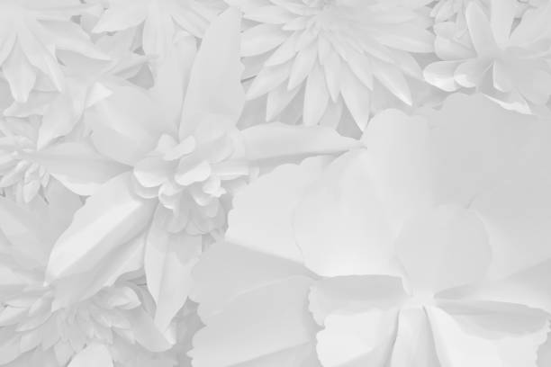 istock white paper flowers decorative background. 1051131716