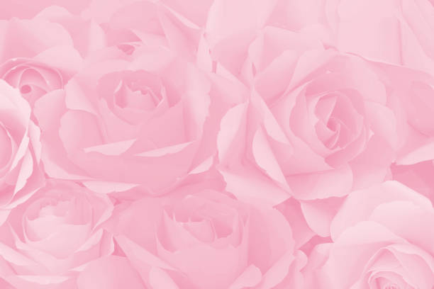 istock Pink rose paper flowers decorative background. 1051131790