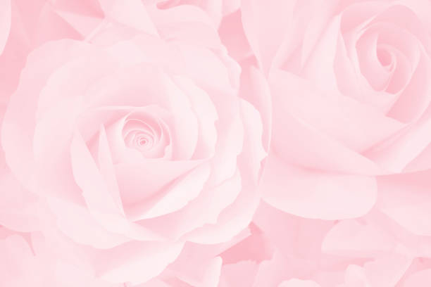 istock Pink rose paper flowers decorative background. 1051132478