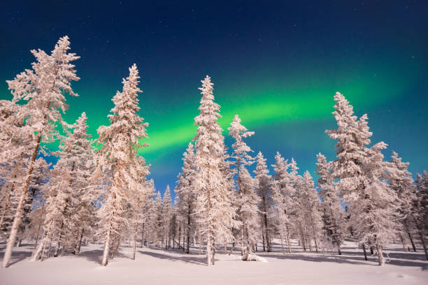 istock Northern lights, Aurora Borealis in Lapland, Finland 1051136302