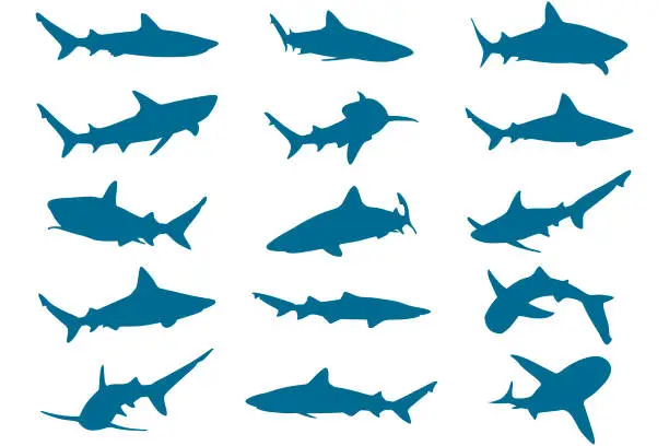 Vector illustration of Vector shapes of sharks