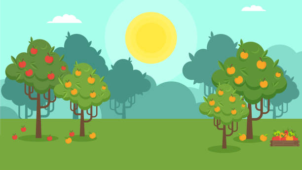 herbst-naturlandschaft mit einer apfelplantage - orchard stock-grafiken, -clipart, -cartoons und -symbole