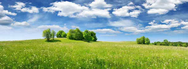 Photo of Green field panorama and blue sky with white clouds