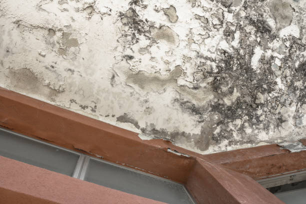 istock Effect of humidity on an old wall 1051151956
