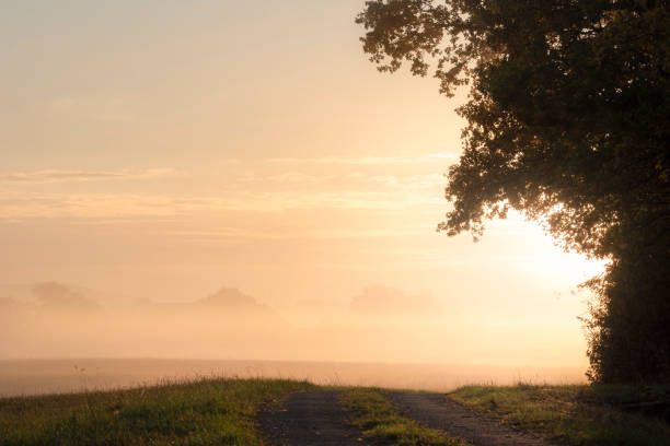 istock Foggy sunrise near forest and pathway 1051152504