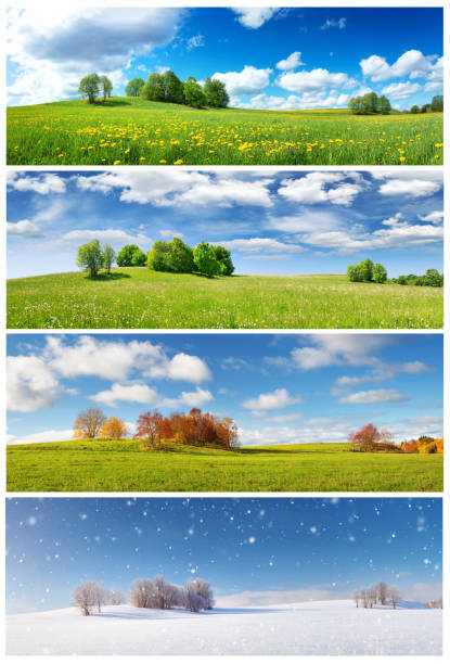 bellissimi alberi in quattro stagioni paesaggio sul campo - dandelion snow immagine foto e immagini stock