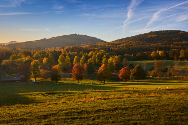 istock Autumn in Buchenau 1051170258