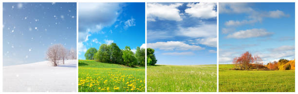 hermosos árboles en el paisaje de cuatro temporadas en el campo - dandelion snow fotografías e imágenes de stock