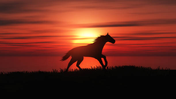 istock 3D horse running in a sunset landscape 1051175718