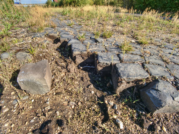 istock Ruined old cobble stone way. 1051175818