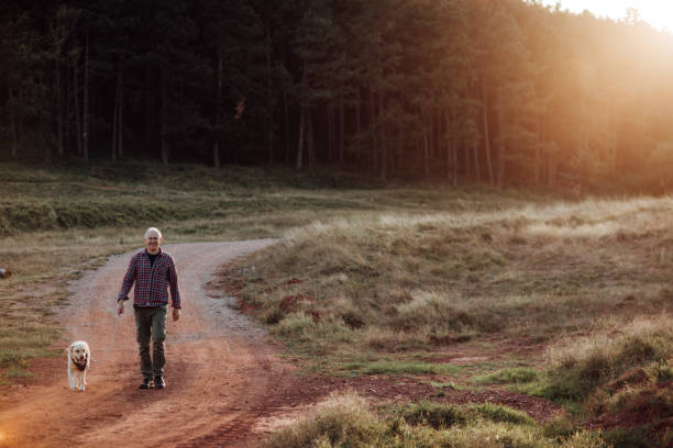 istock Senior Man Walking his Dog 1051175878
