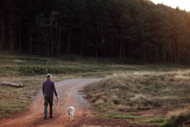 istock Senior Man Walking his Dog 1051176720