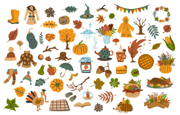 ilustrações de stock, clip art, desenhos animados e ícones de collection set  of cute drawn autumn fall thanksgiving seasonal items - autumn collection