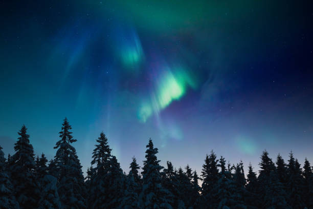 istock Northern Lights Above The Forest 1051186712
