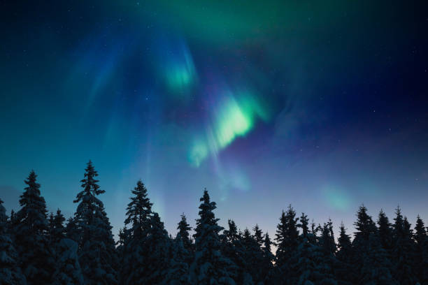 Northern Lights Above The Forest Snowcapped trees under the beautiful night sky with colorful aurora borealis. geomagnetic storm photos stock pictures, royalty-free photos & images