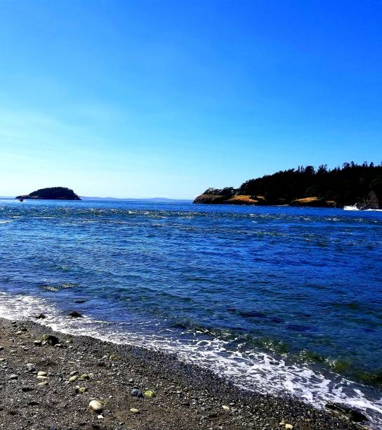 istock Summer day on Whidbey Island, WA 1051187140