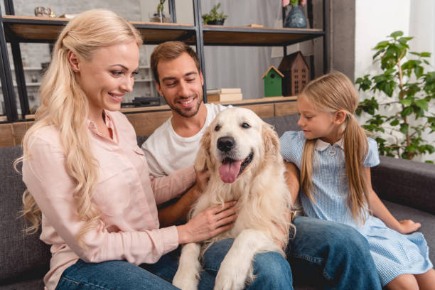 istock parents with daughter playing with dog while sitting on couch at home 1051190222