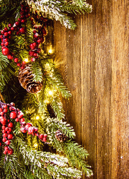 istock Christmas background, new year, fir, berries, cones 1051206362