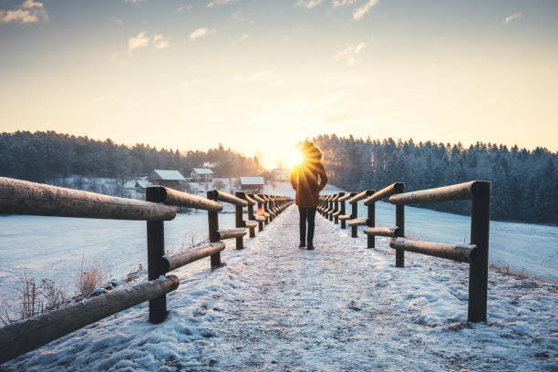 winterspaziergang - solitude morning nature rural scene stock-fotos und bilder