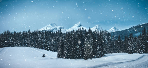 Idyllic winter scene with snowcapped mountains and pine forest.