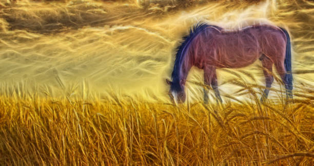 istock Horse grazing in sun drenched field 1051214994