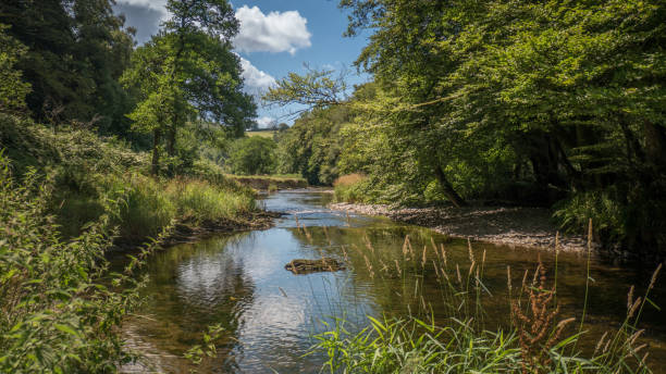 river barle w exmoor (anglia, wielka brytania) - exmoor national park zdjęcia i obrazy z banku zdjęć